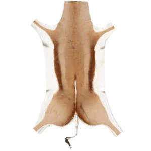 Genuine Springbok Hide Rug – Luxuriously Soft, Ethically Sourced African Antelope Skin