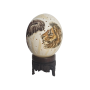 Ostrich Egg with Animal Prints For Home Decoration