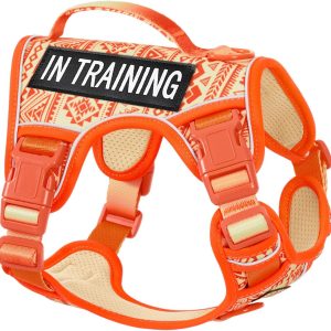 Aunzo Dog Vest Harness